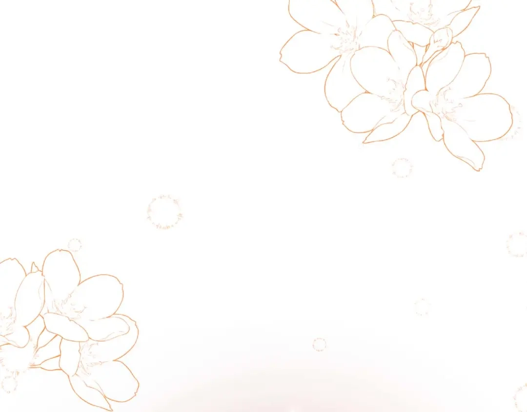 第211页