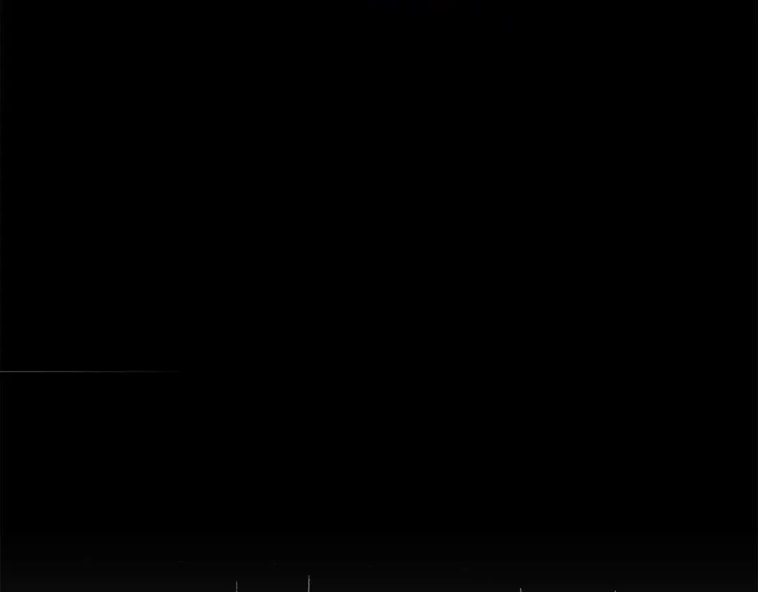 第229页
