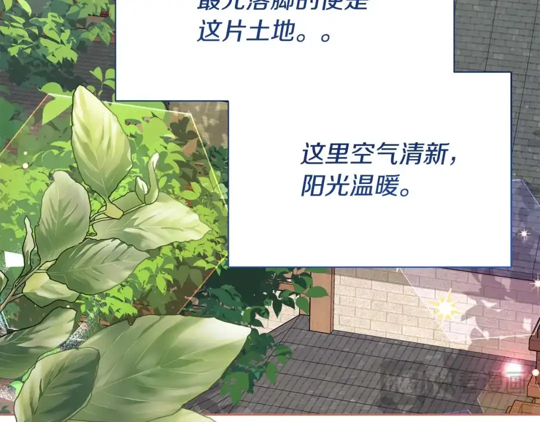 第195页