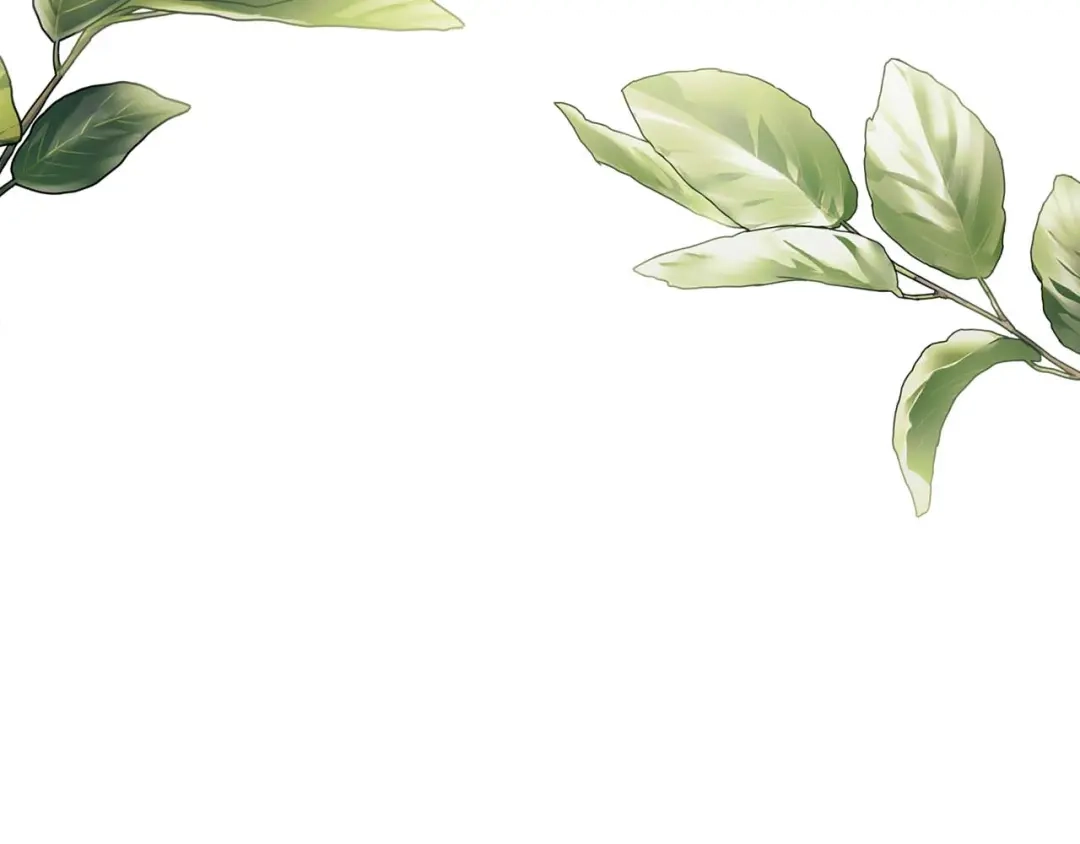 第196页