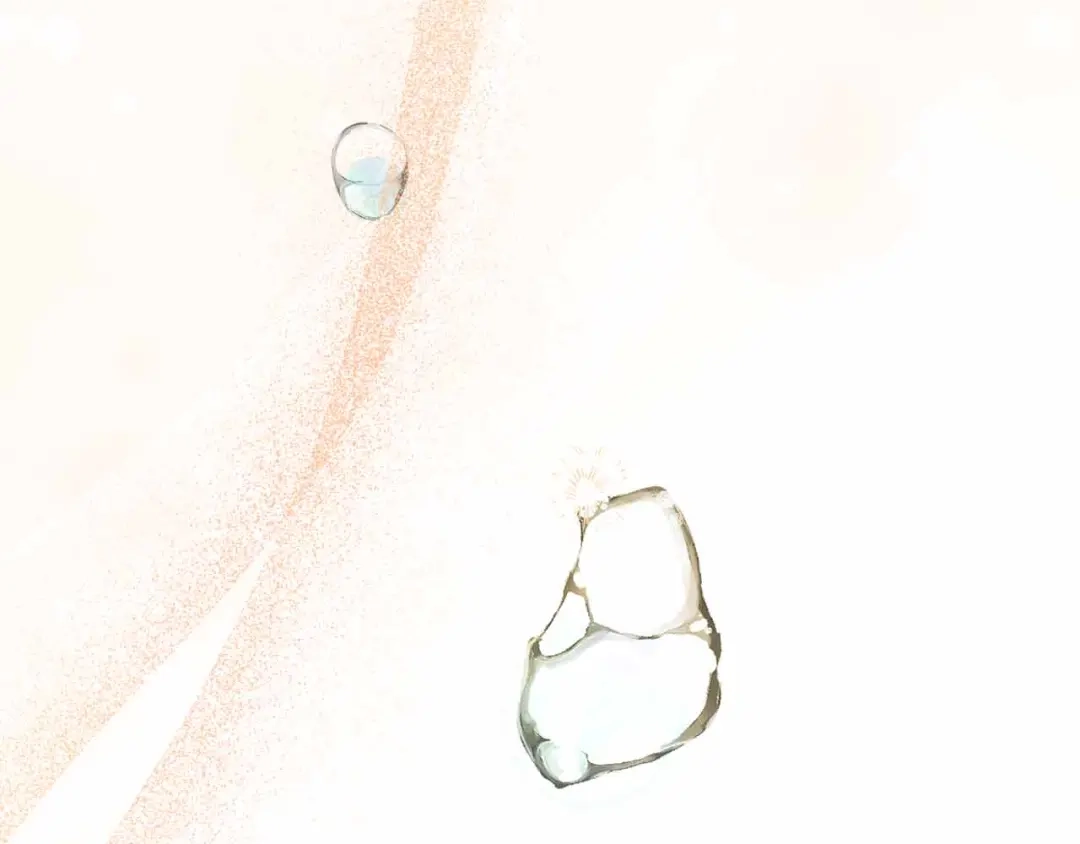 第190页