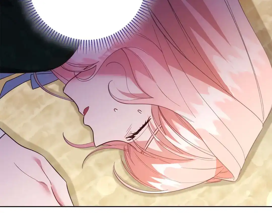 第204页