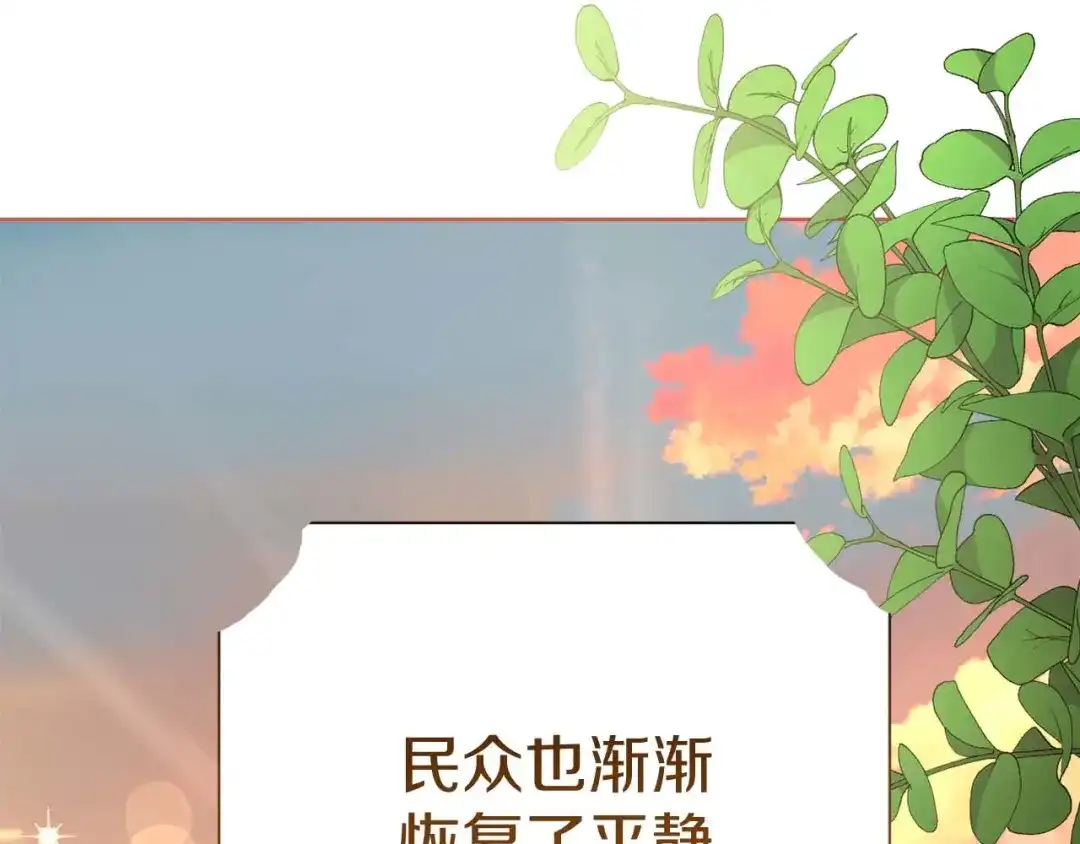 第251页