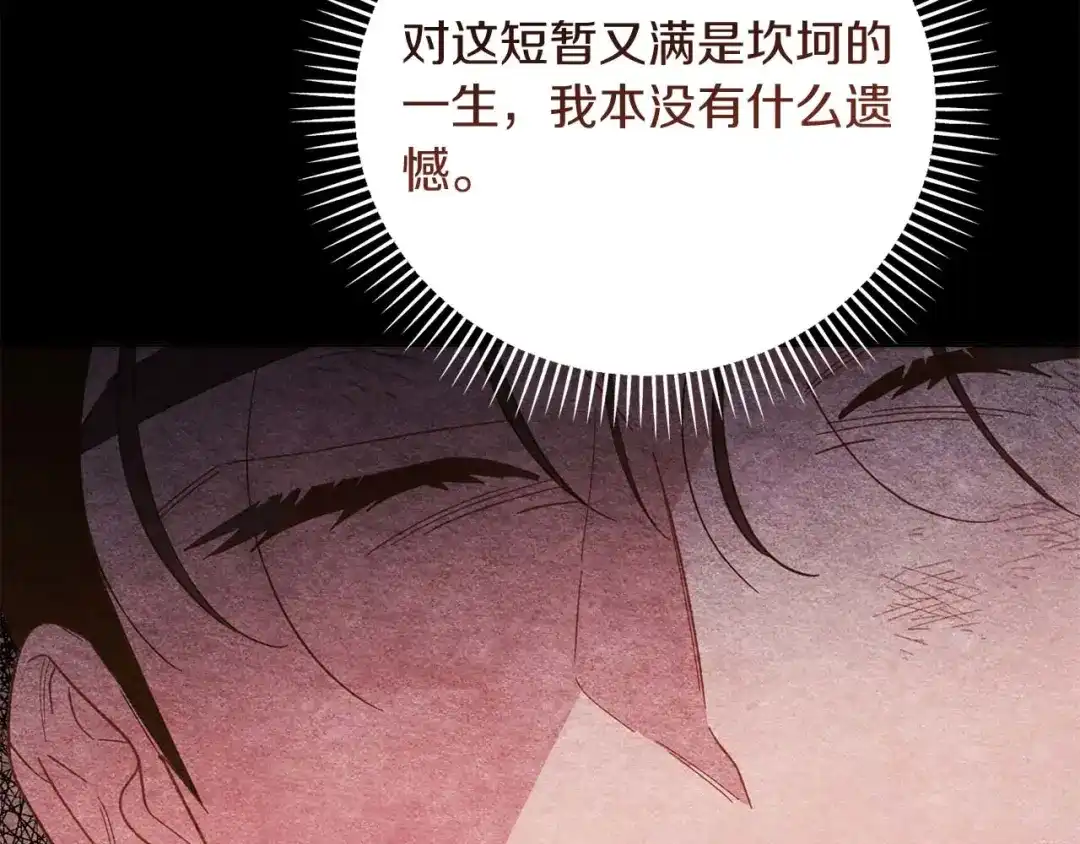 第213页