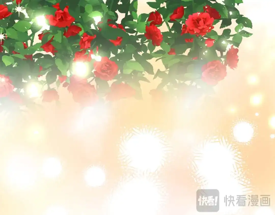 第261页