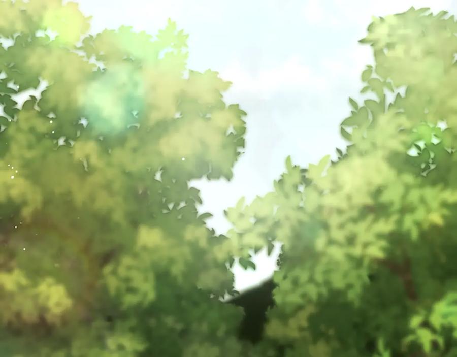 第215页