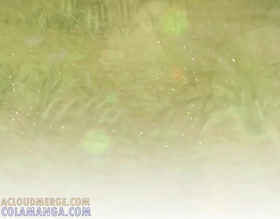 第217页