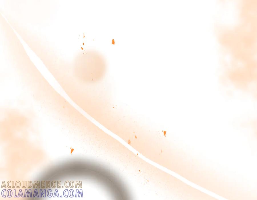 第217页