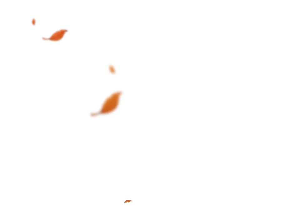 第190页