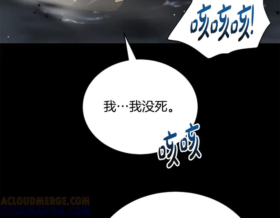 第217页