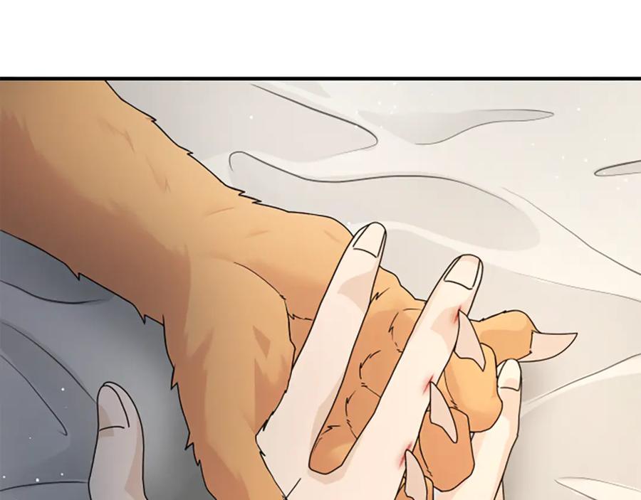 第206页