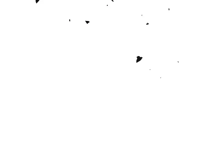 第194页