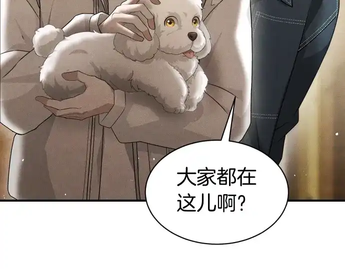 第204页