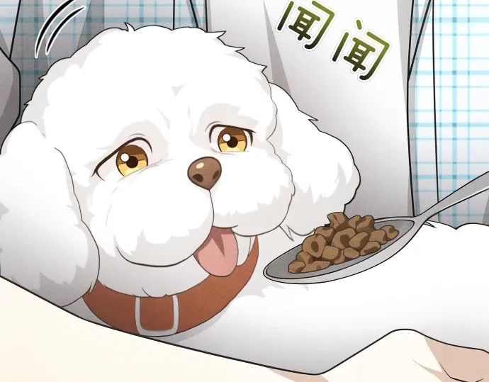 第155页