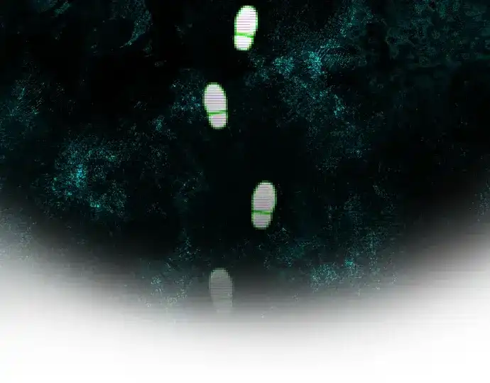 第209页
