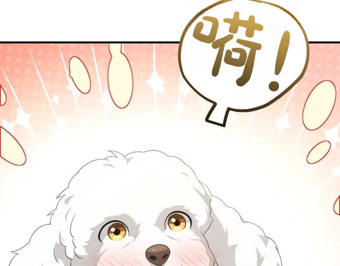 第202页