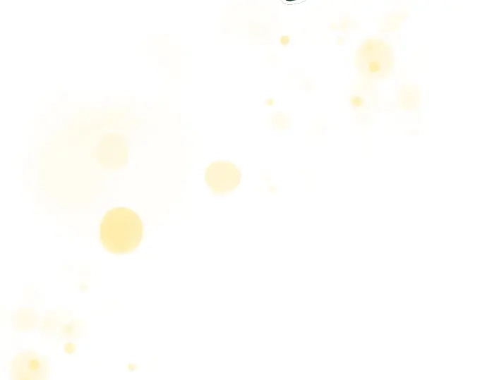 第224页