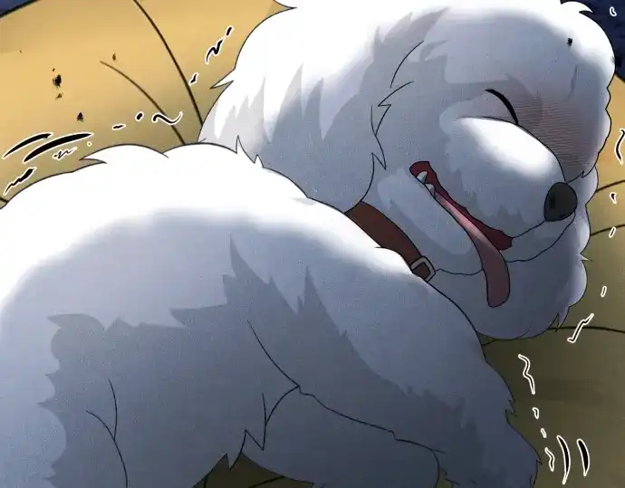 第193页