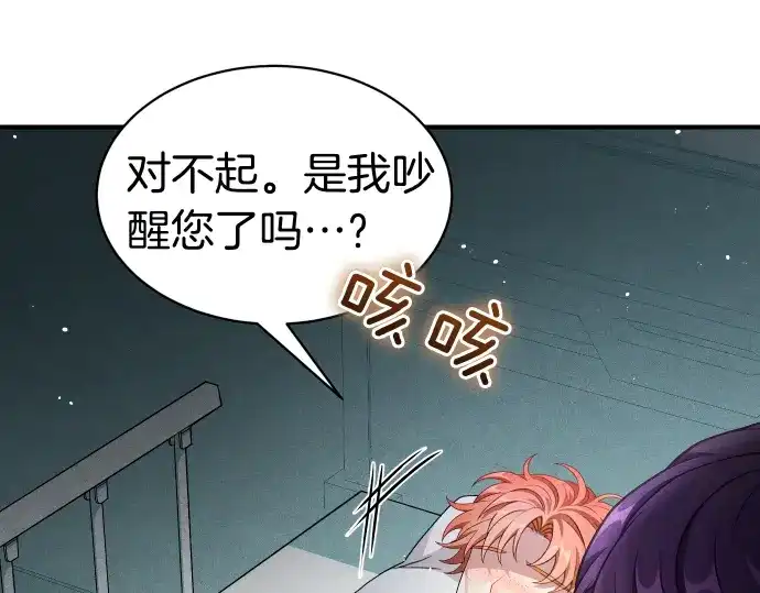 第204页