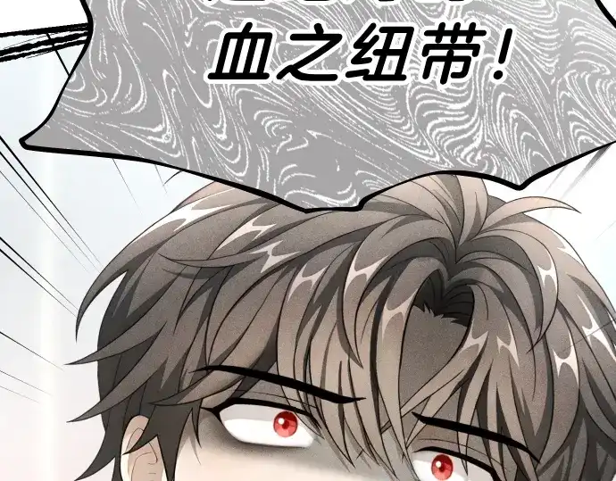 凡菲尔德的秘密 第103话 决战 第141页