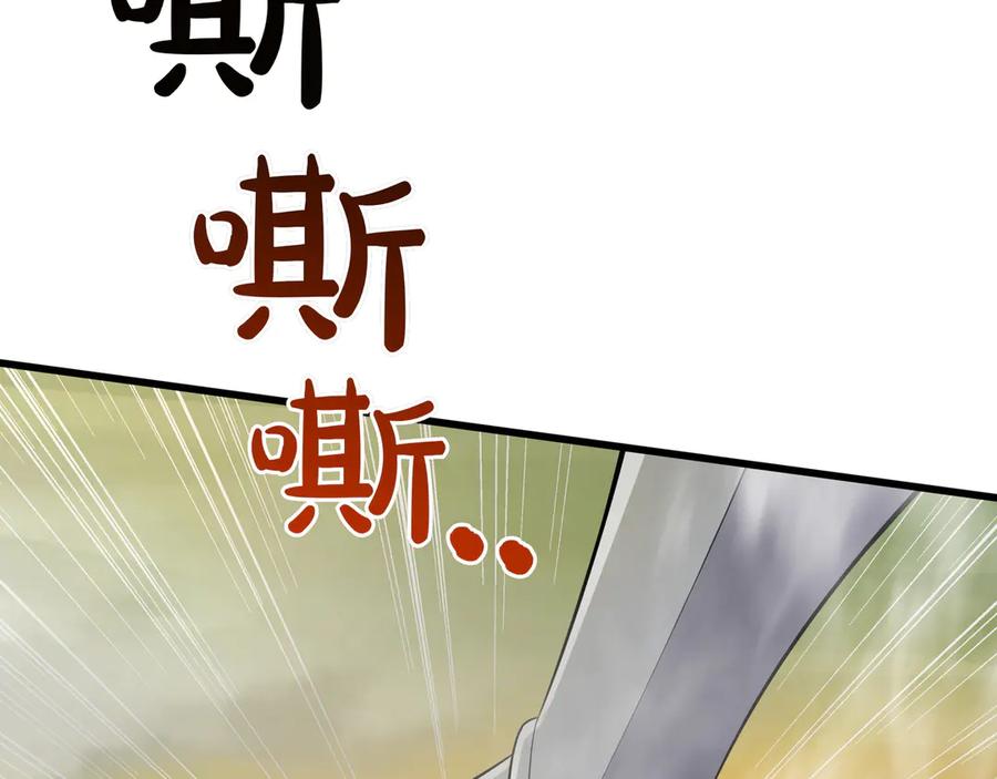 第246页