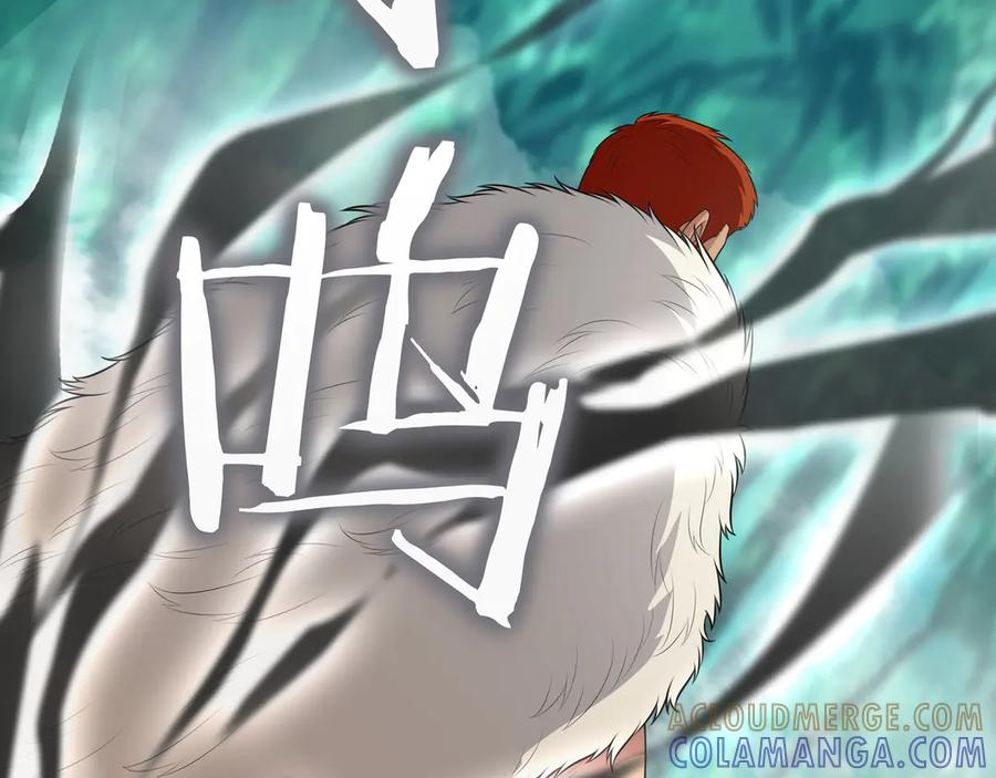第217页