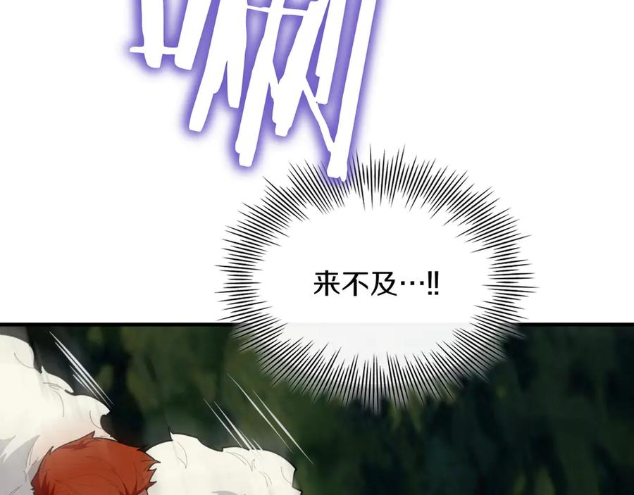 第223页