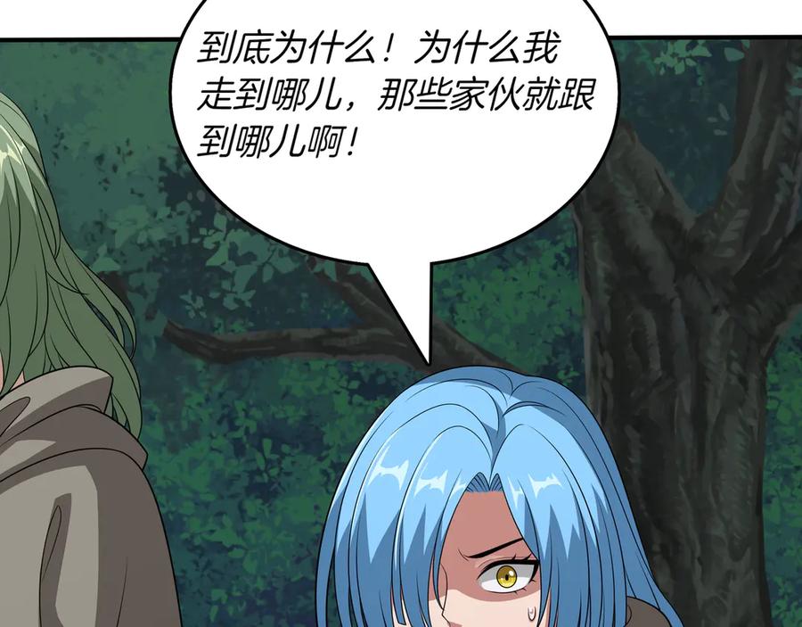 第204页