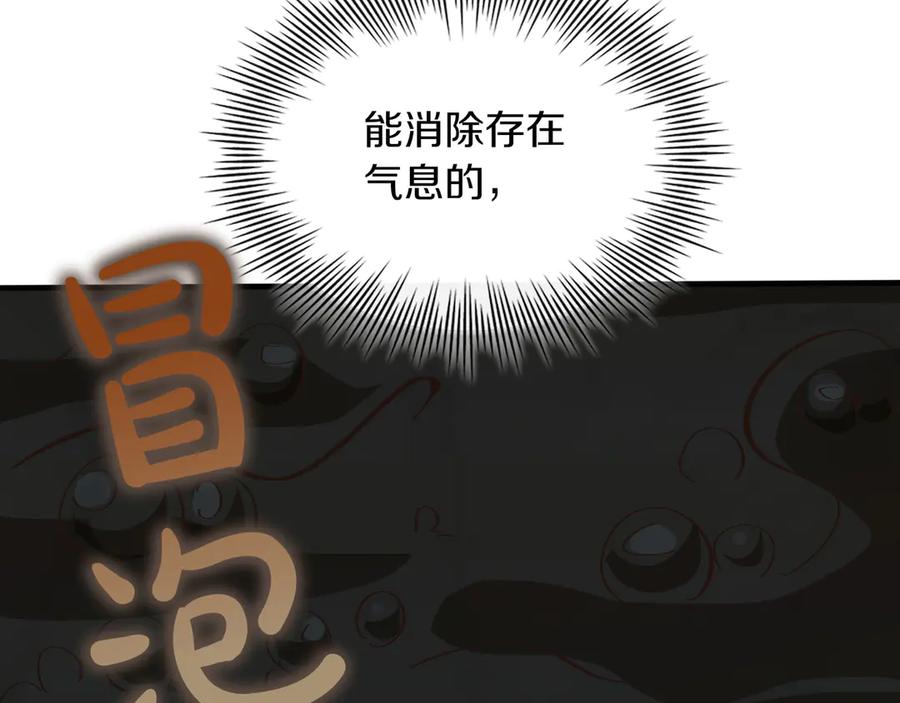 第256页