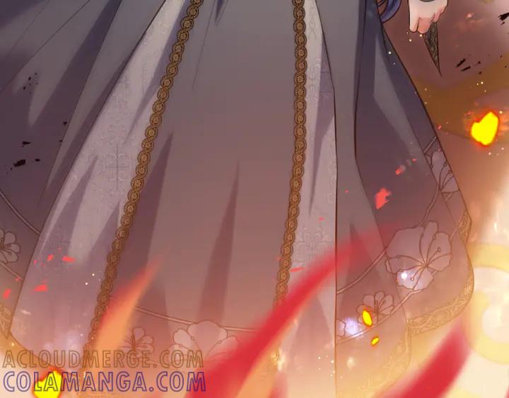 第205页