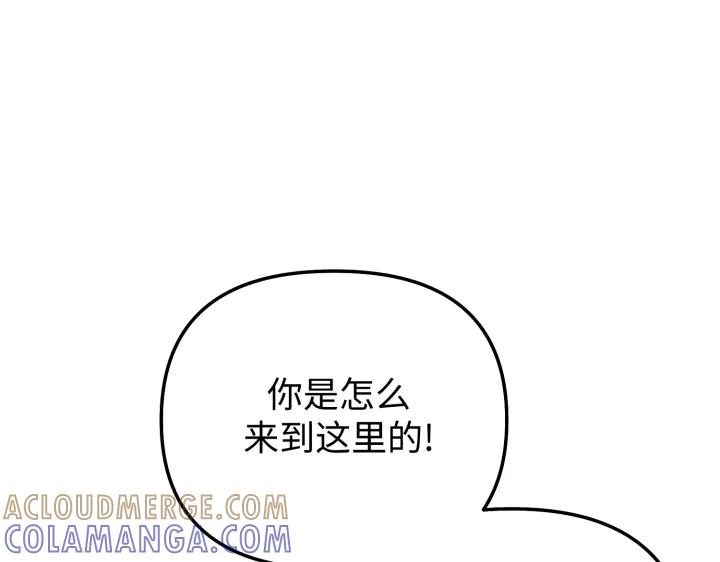 第221页