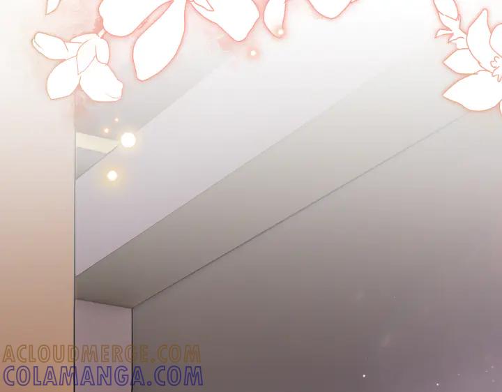 第229页