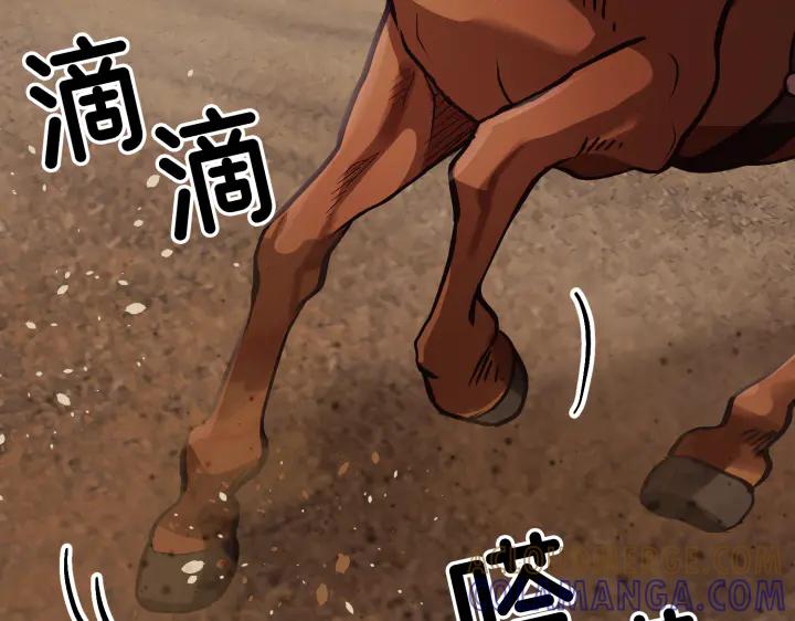 第213页