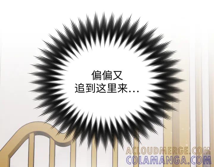 第241页