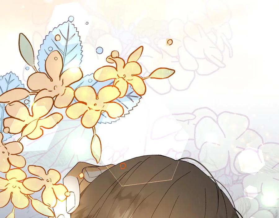 第211页