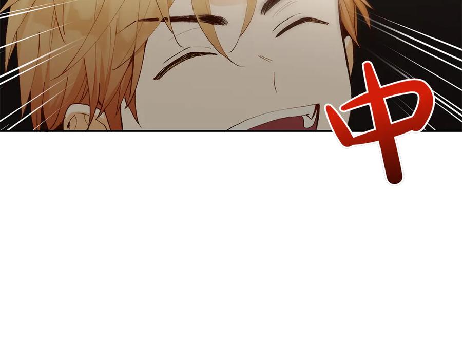 第218页