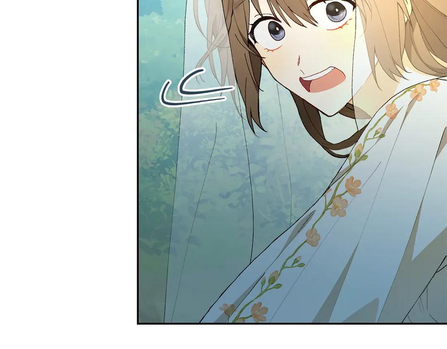 第215页