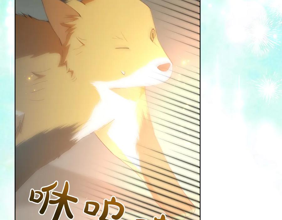 第227页