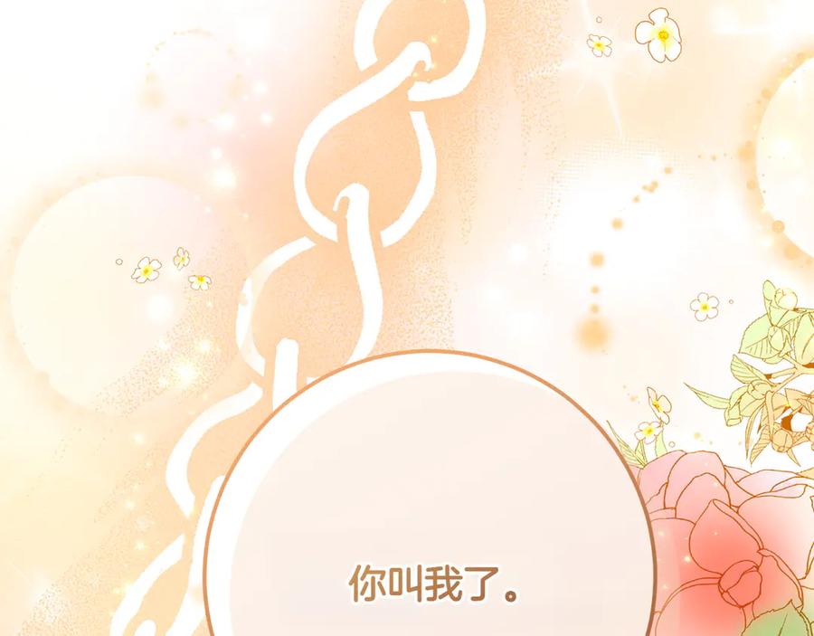 第246页