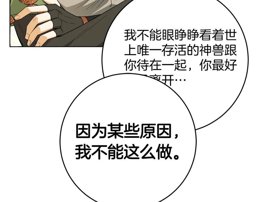 第223页