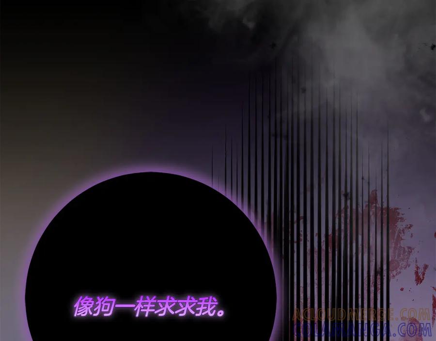 第245页
