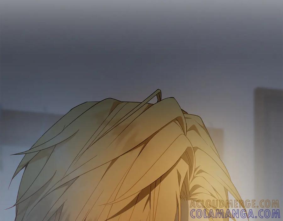 第205页