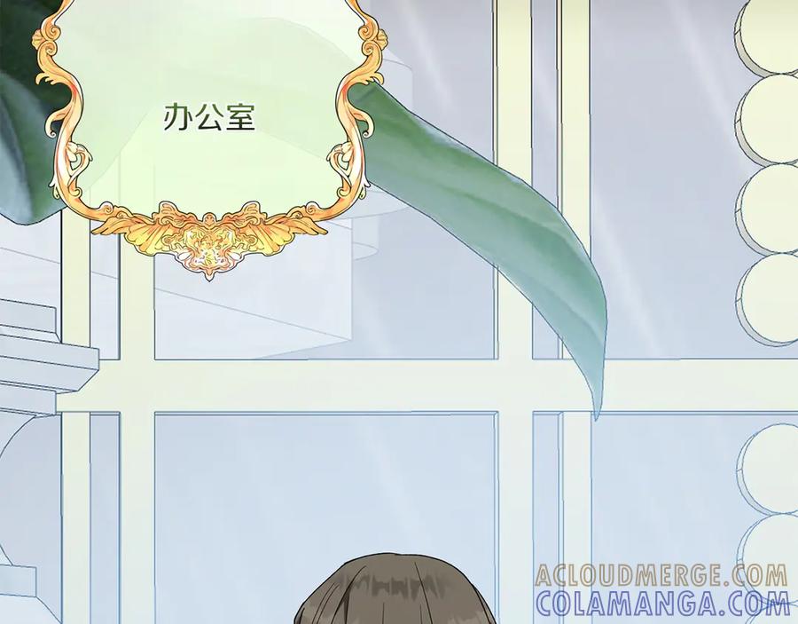 第213页