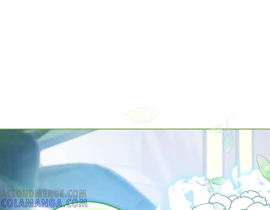 第221页