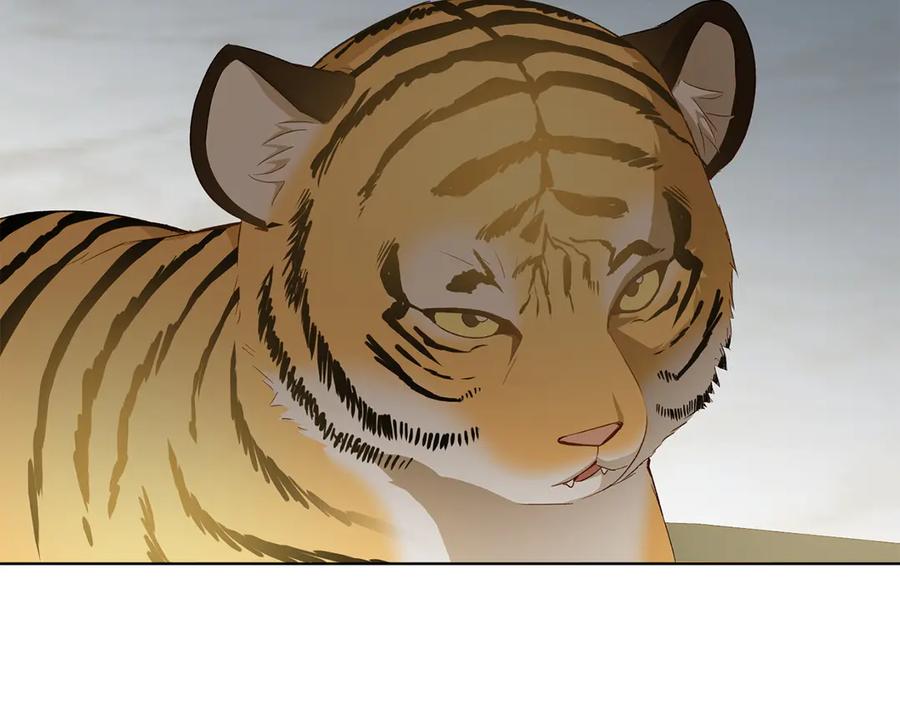 第214页