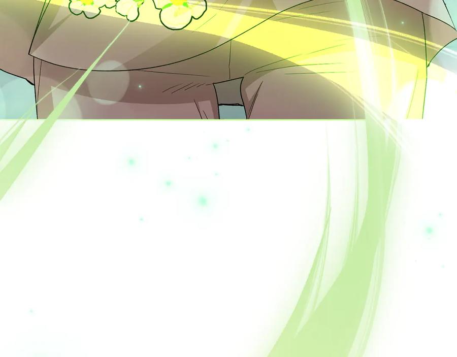 第223页