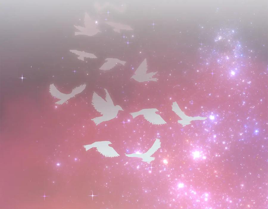 第190页