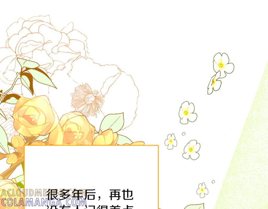 第205页