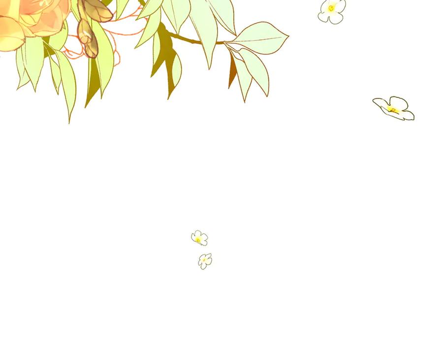 第215页