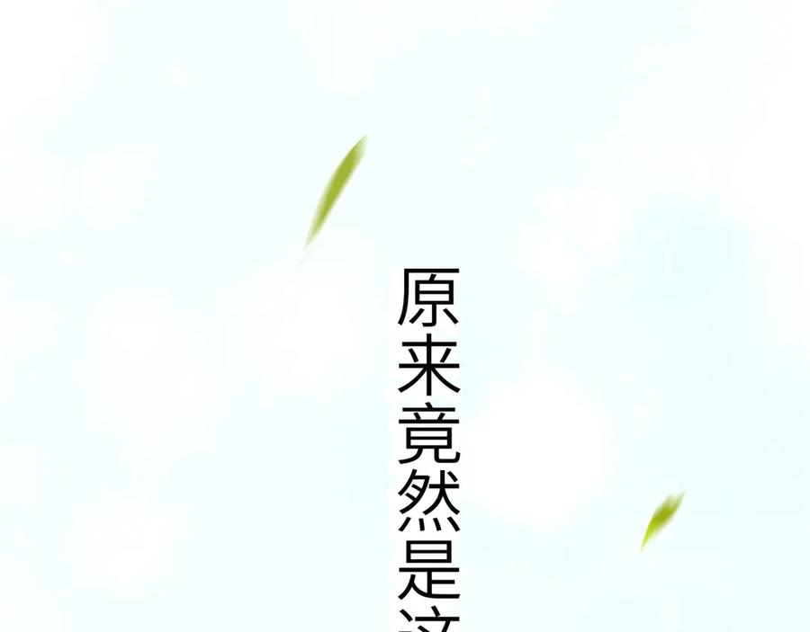 第260页